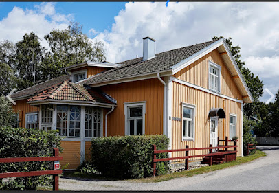 Mikonheikki kaupungissa Hauho