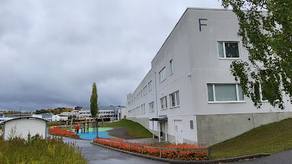 Jyvaskyla Steiner School – Jyvaskyla