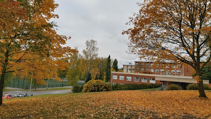 Kaarilan koulu kaupungissa Tampere