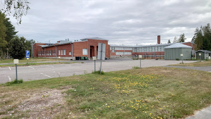Simon koulu kaupungissa Simo