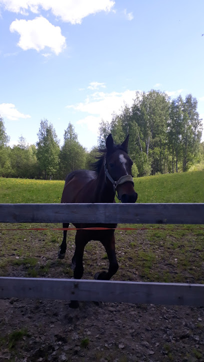Vehkalammin Koulu kaupungissa Vartiala