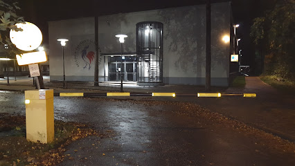 HRSKn puomi kaupungissa Helsinki