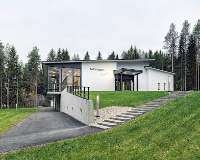 Museum of Fine Arts Eemil kaupungissa Lapinlahti
