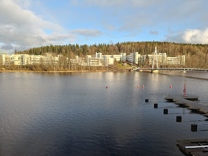 Nanoscience center, JYU – Jyvaskyla