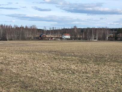 Renko School kaupungissa Renko