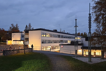 Viitaniemi school – Jyvaskyla