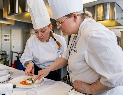 Oulun Palvelualan Opisto kaupungissa Oulu
