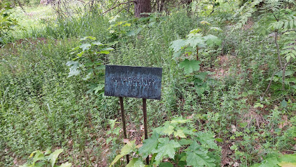 Kalvola Konnolanmaki Iron Age Burial Site – Hameenlinna