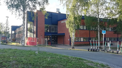University of Eastern Finland, Melania kaupungissa Kuopio