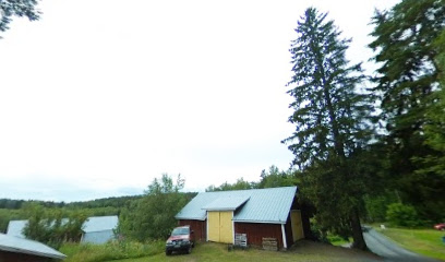 Tenala kaupungissa Tenala