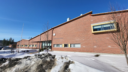 Kukkulan koulu kaupungissa Jyvaskyla