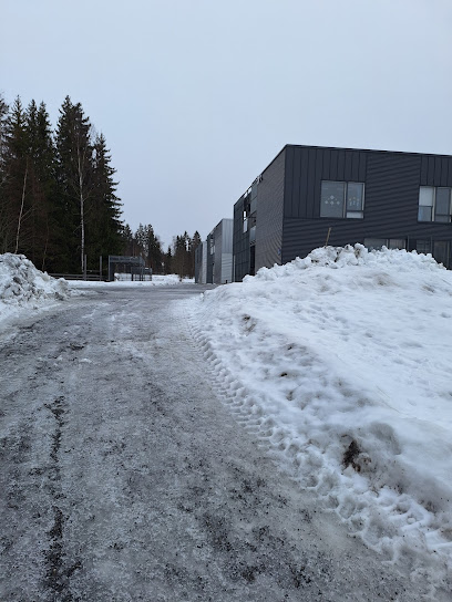 Annalan koulu, Karosen koulutalo – Tampere