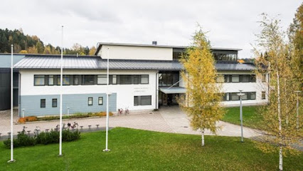 Lammin Lukio kaupungissa Lammi