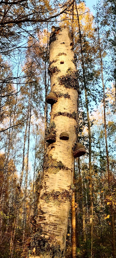 Vanajan seurakuntatalo kaupungissa Hameenlinna