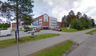 Steinerkoulun ylaaste kaupungissa Rovaniemi