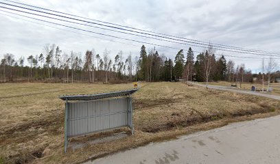 Pyhamaanraitti L kaupungissa Pyhamaa