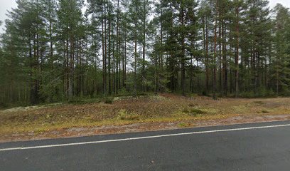 Vanhakyla L kaupungissa Nurmes