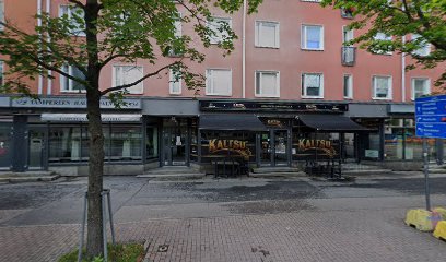 Kaleva kaupungissa Tampere