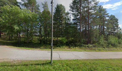Lapin kesayliopisto kaupungissa Rovaniemi