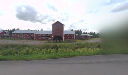 Pevi- kouluttajat kaupungissa Siikamaki